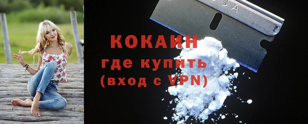 твердый Абаза