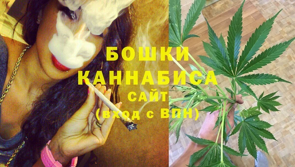 твердый Абаза