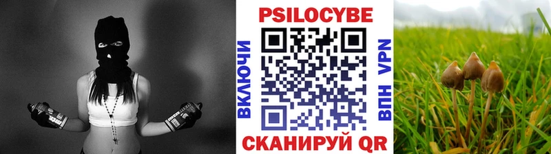 Галлюциногенные грибы Psilocybine cubensis  где купить наркоту  кракен как зайти  Балаково 